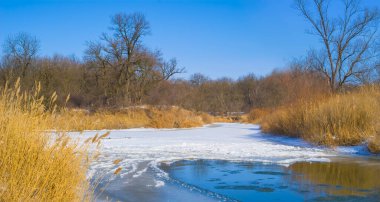 Donmuş kış nehri, açık havada sahilde ormanla birlikte.