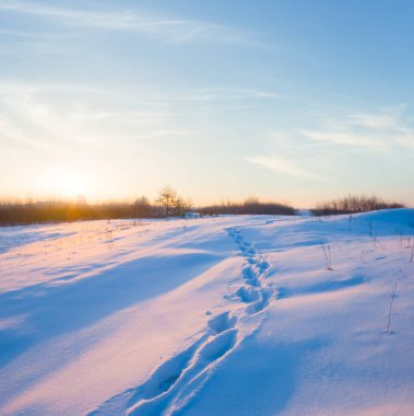 Geniş karlı ovalarda insan izleri var. Soluk günbatımında, kış akşamları açık havada.