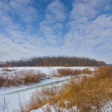 Donmuş kış nehri, açık havada sahilde ormanla birlikte.