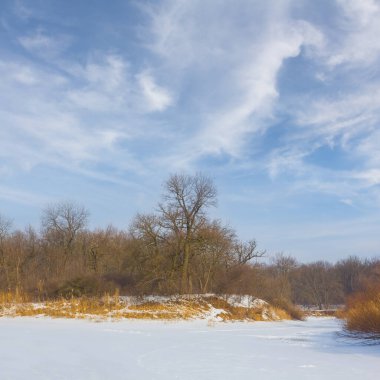 Donmuş kış nehri, açık havada sahilde ormanla birlikte.