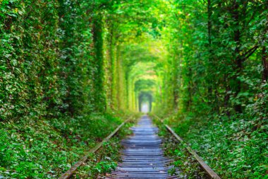 Ukrayna, tünel aşıkların