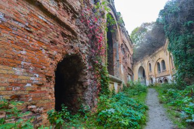 Ukrayna, tarakanov kale harabe