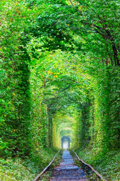 Ukraine, tunnel of lovers — Stock Photo, Image