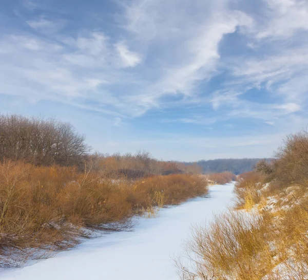 Donmuş kış nehri, açık havada sahilde ormanla birlikte.