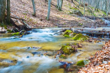 küçük dağ nehir taşları üzerinde acele