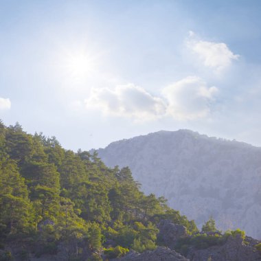 Yeşil dağ vadisi Yazın güneşli gününde