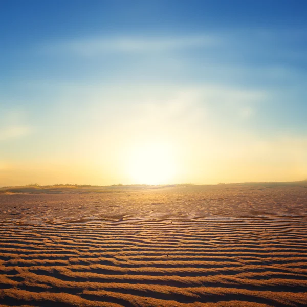 Sunset over a sand desert — Stock Photo, Image