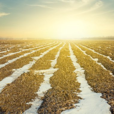 gün batımında plough kara kış