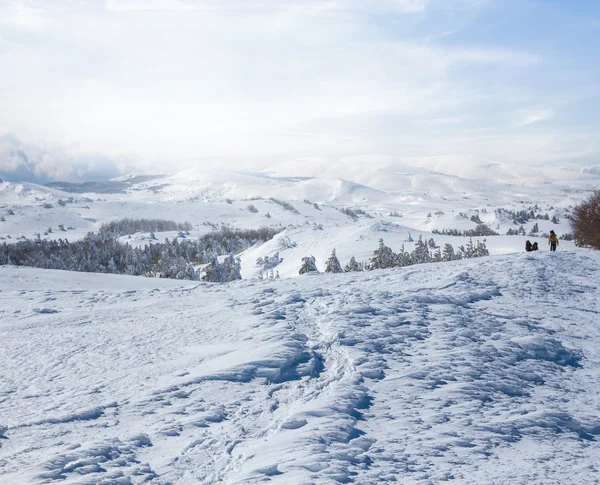 Ruhige schneefreie Winterebene — Stockfoto