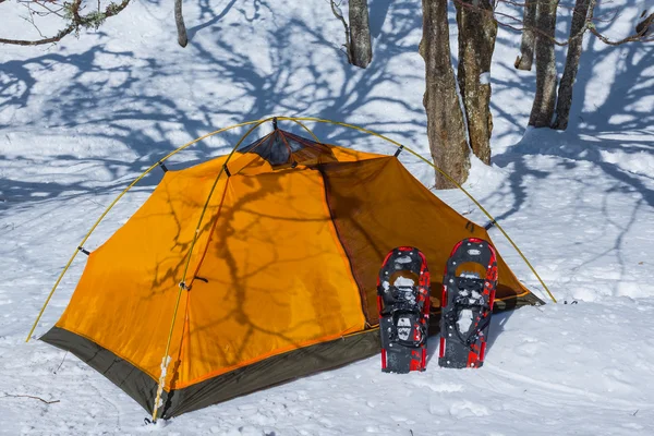 A téli erdő-narancssárga turisztikai sátor — Stock Fotó