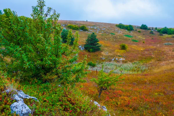 Осенний лес и холмы — стоковое фото