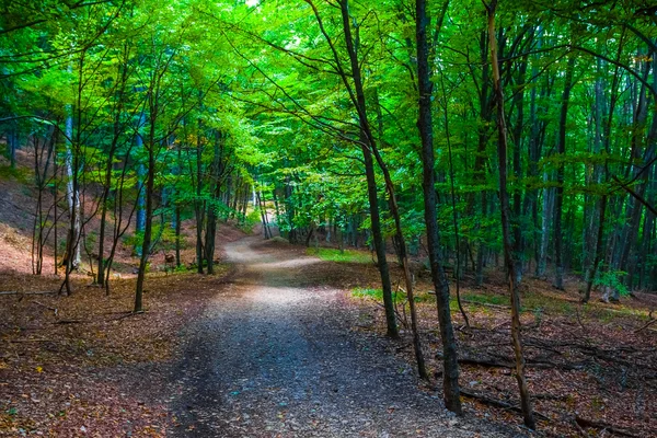 Krásná podzimní park scéna — Stock fotografie