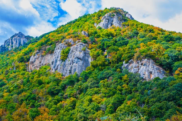 Topo de montanha verde em um fundo azul céu — Fotografia de Stock