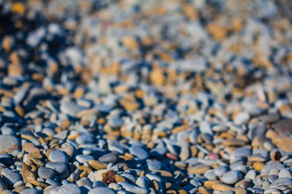 Varicoloured Marina pebble bakgrund — Stockfoto