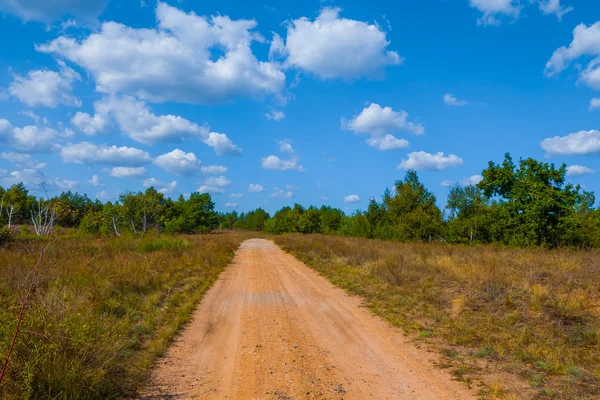 Largo camino de tierra de pradera —  Fotos de Stock