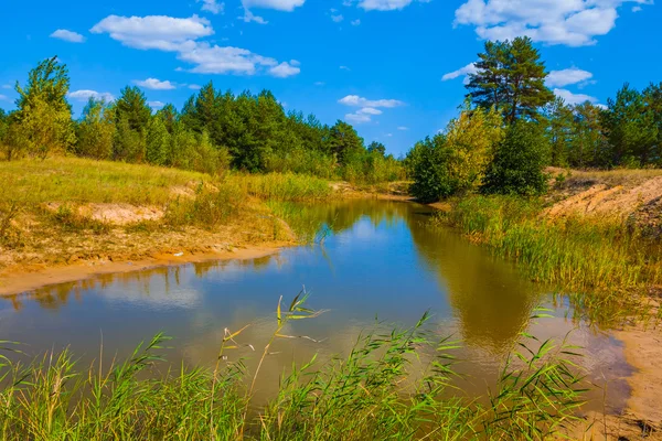 Małe niebieskie jezioro w lesie — Zdjęcie stockowe