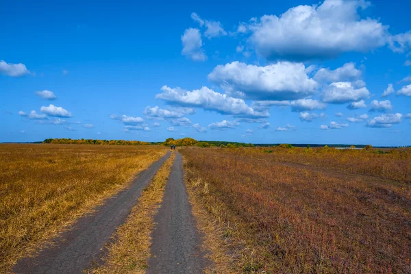 Ground rural road among a steppe — Stock Photo, Image