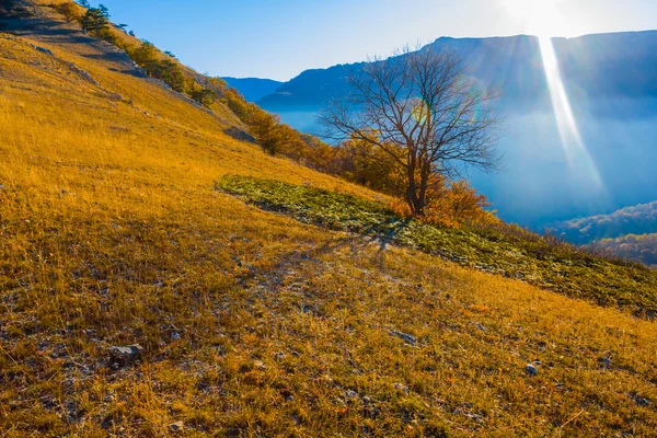 Mount slope at the early morning — Stock Photo, Image