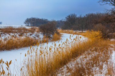 donmuş grubunu kış nehir sahne