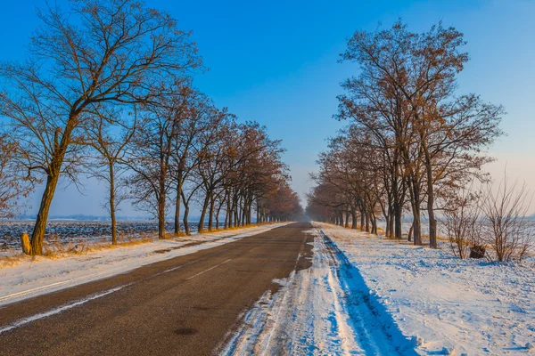 Route à travers une plaine d'hiver — Photo