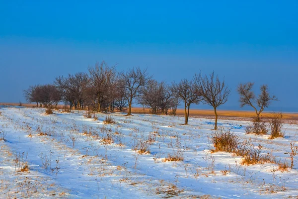 Beau paysage hivernal enneigé — Photo