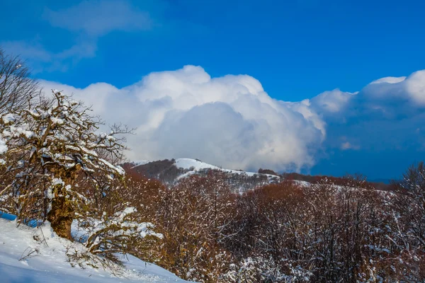 Neve verso montagna pendio scena — Foto Stock