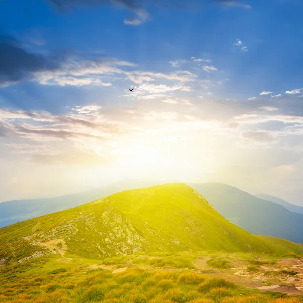 Cume de montanha verde em uns raios do sol matutino — Fotografia de Stock