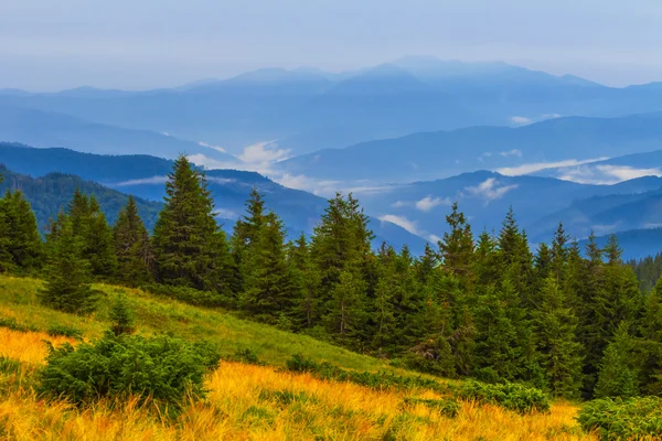 Bella scena di montagna nebbiosa blu — Foto Stock