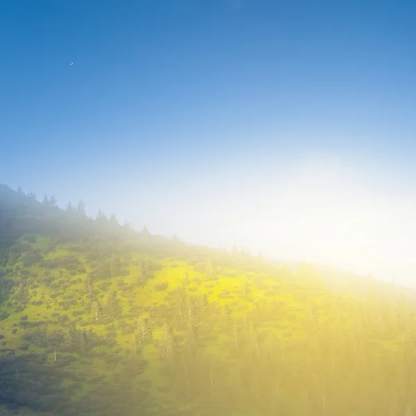 Καταπράσινη πλαγιά βουνού σε ένα ακτίνες του ήλιου το πρωί — Φωτογραφία Αρχείου
