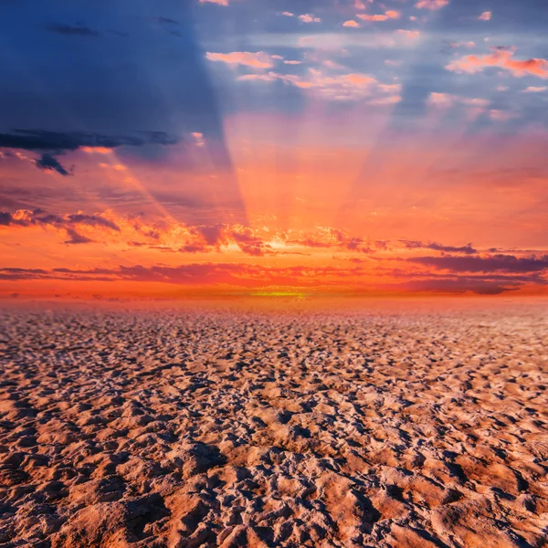Red sunset over a dry saline land — Stock Photo, Image