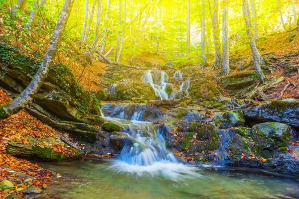 Höstens berg canyon scen — Stockfoto