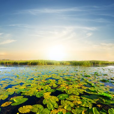 gün batımını River'da sakin yaz