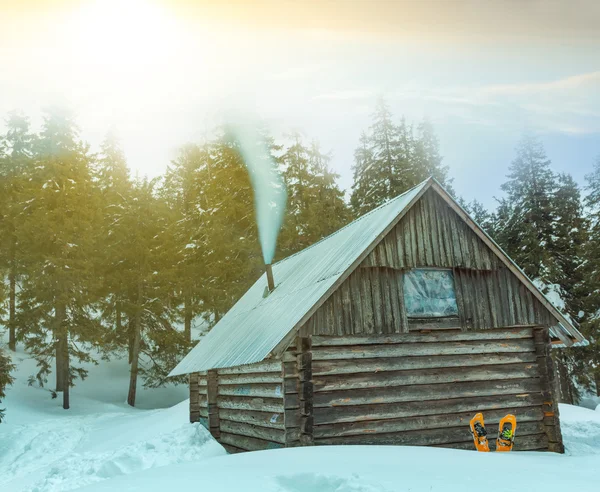 Malý dřevěný dům v zimním lese — Stock fotografie