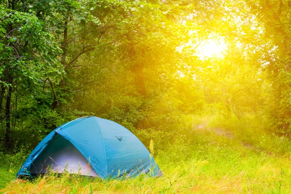 Campeggio turistico in una foresta estiva — Foto Stock