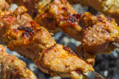 closeup hazırlanıyor taze Barbekü