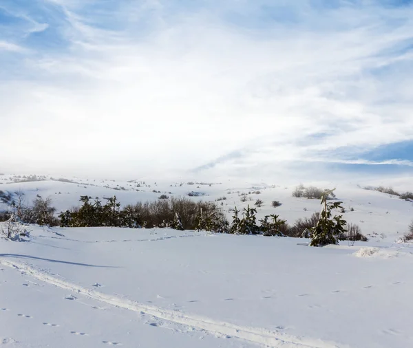 Winter white snowbound prairie — Stock Photo, Image