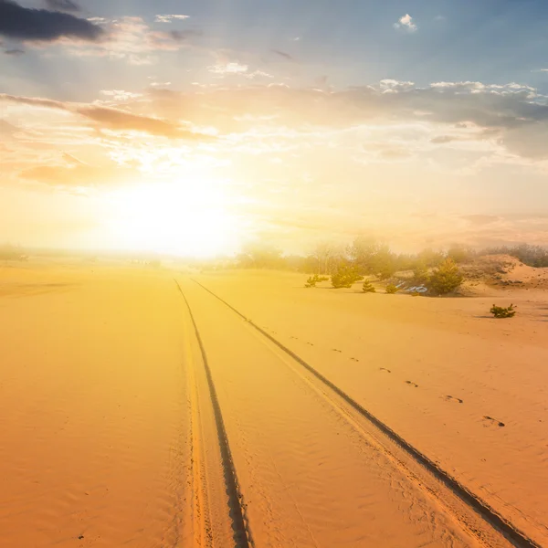 Sand desert landscape at the sunset — Stock Photo, Image