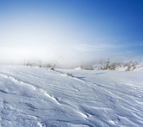 Снігові зимові рівнини рано вранці — стокове фото