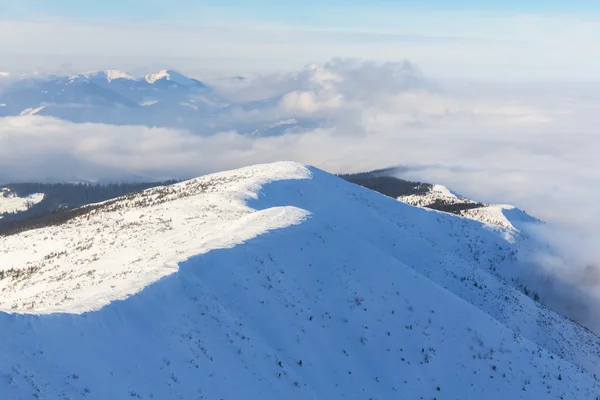冬の山の頂上は雲の上 — ストック写真