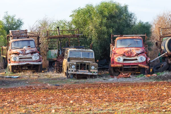 Cyprus old truck cemetery — Stock Photo, Image