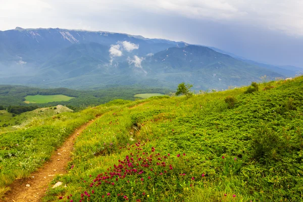 緑の山々の風景 — ストック写真