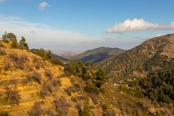 Paesaggio verde di montagna — Foto Stock