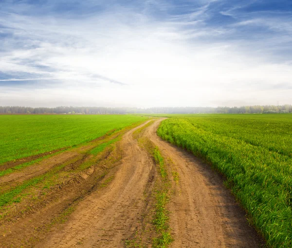 Estrada rural através de campos verdes — Fotografia de Stock