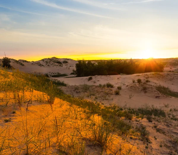 Deserto sabbioso al tramonto — Foto Stock