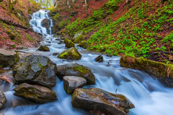 Islak orman dağ şelale sahnesi — Stok fotoğraf