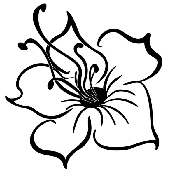 Beautiful lily black and grey contour. — Vector de stock