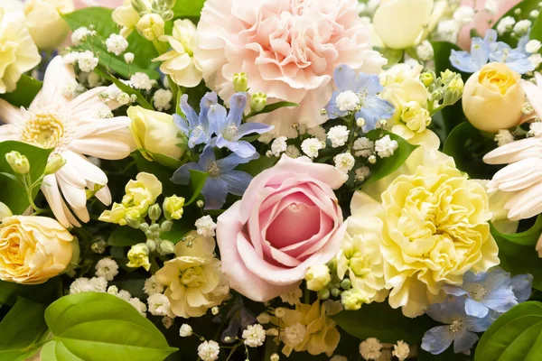 Renkli pembe ve sarı çiçekler