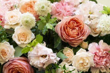 Koyu pembe ve açık pembe çiçekleri vurdum.