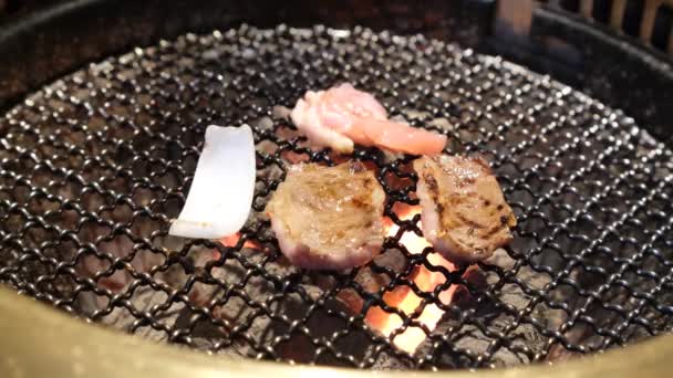 ローストビーフリブ ポークリブ 鶏の胸肉と玉ねぎ — ストック動画