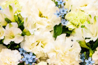 Düğünde beyaz çiçekler Takasago